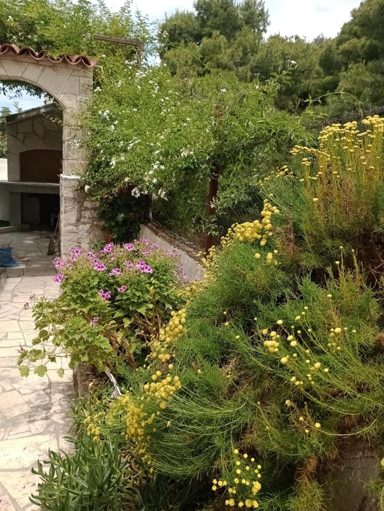 Villa Kuca Za Odmor Skalina - Sea View Splitska Habitación foto